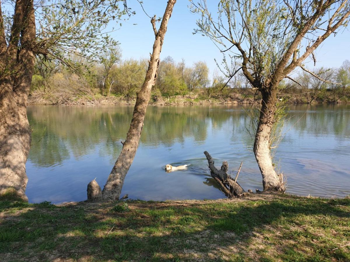 Guest House Studio Apartman Marina - With Jacuzzi, Free Parking, Pet Friendly Karlovac Exteriör bild