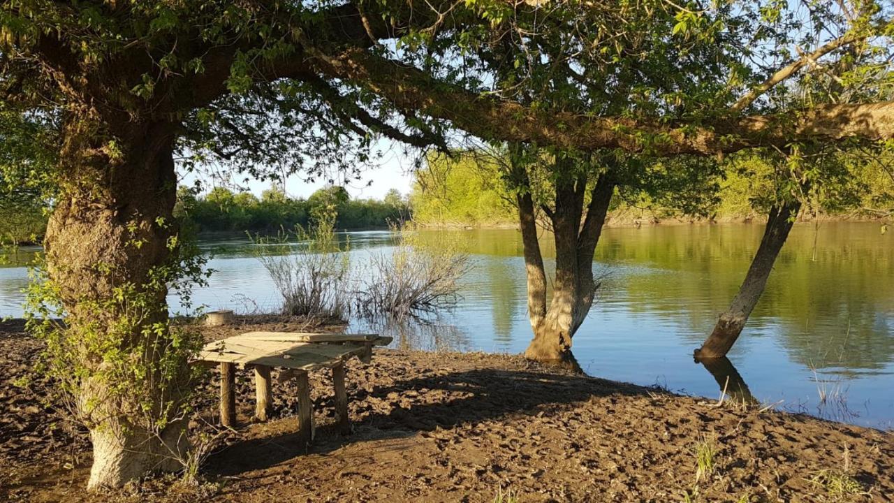 Guest House Studio Apartman Marina - With Jacuzzi, Free Parking, Pet Friendly Karlovac Exteriör bild